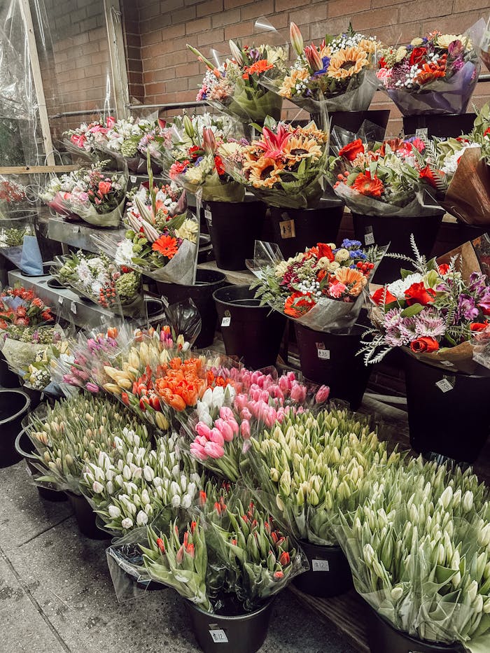 A flower shop with many different types of flowers